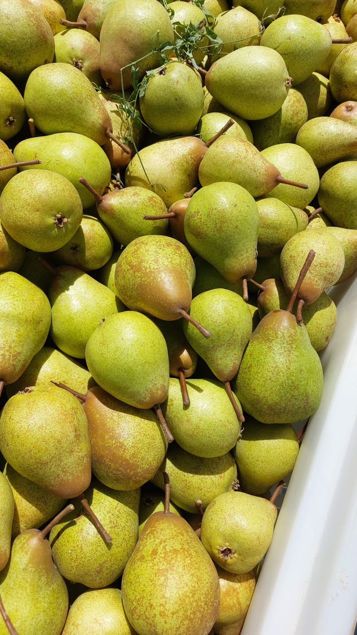 منتجات طازجة