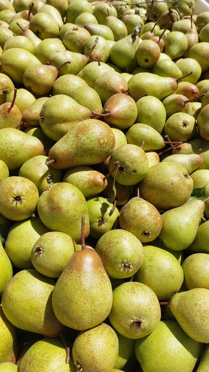 فواكه طازجة