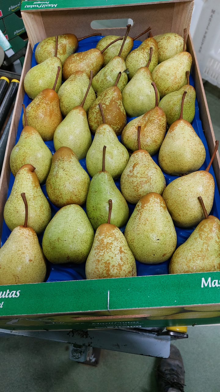 صندوق كمثرى